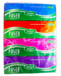 Paseo Smart Facial Tissue 2Ply 100 Pulls (4 Pack)