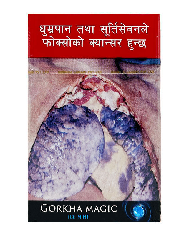 Gorkha Magic Ice Mint 20's