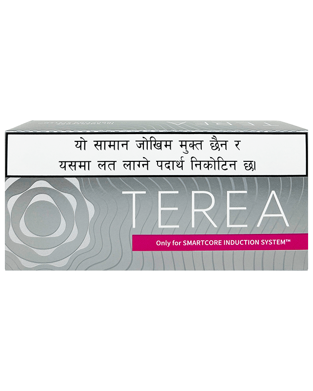 Terea Silver Tobacco Sticks 10 Packets x 20's